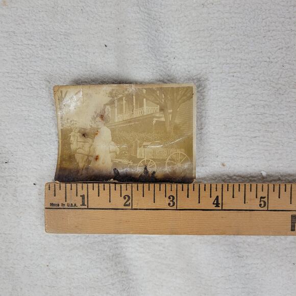 Antique Photo Western Woman Goat Carriage House Studio Photography 1800s Photos - Picture 5 of 6